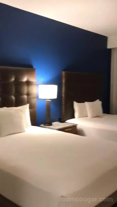 gotravel's review preview (Drury Plaza Hotel Orlando - Disney Springs Area)