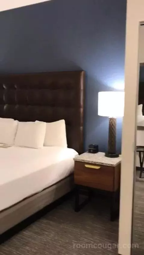 King Suite with Sofa Bed - Nightly Views of Area Fireworks (#1216) bed picture #8