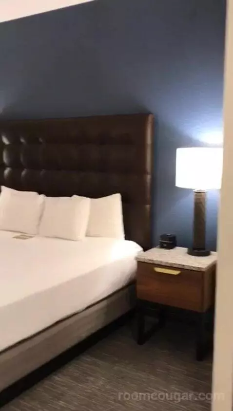 King Suite with Sofa Bed - Nightly Views of Area Fireworks (#1216) bed picture #9