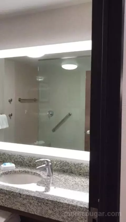 King Suite with Sofa Bed - Nightly Views of Area Fireworks (#1216) bathroom picture #3