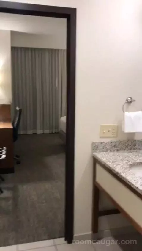 King Suite with Sofa Bed - Nightly Views of Area Fireworks (#1216) bathroom picture #1