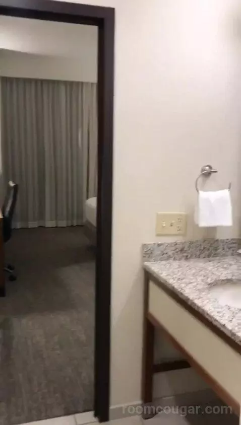 King Suite with Sofa Bed - Nightly Views of Area Fireworks (#1216) bathroom picture #2