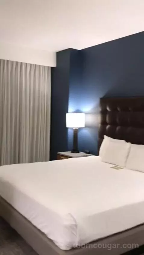 King Suite with Sofa Bed - Nightly Views of Area Fireworks (#1216) bed picture #5