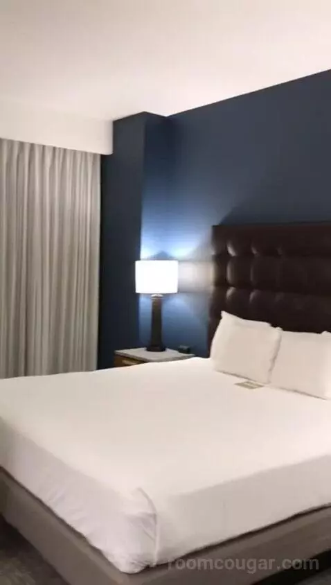 King Suite with Sofa Bed - Nightly Views of Area Fireworks (#1216) bed picture #6