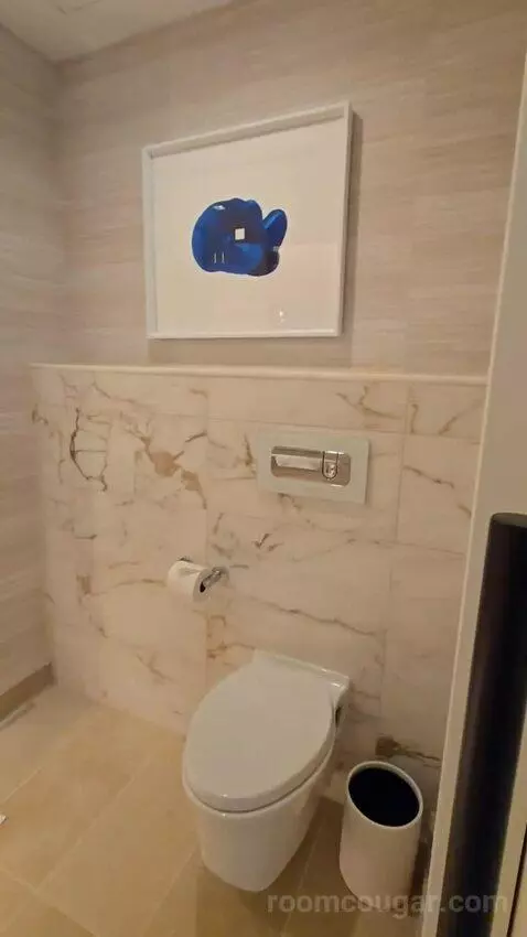 One Bedroom King Suite with Lagoon View, Accessible (#722) bathroom picture #2