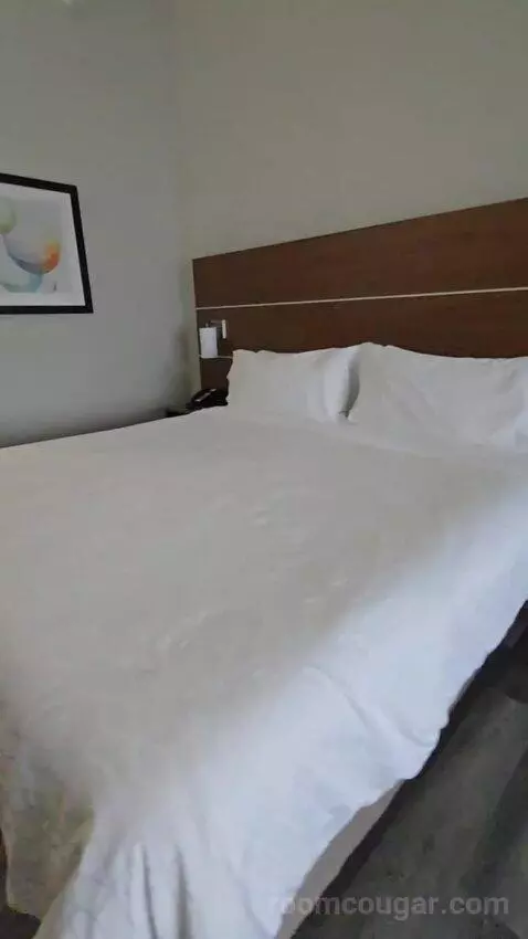 King Suite (#118) bed picture #5