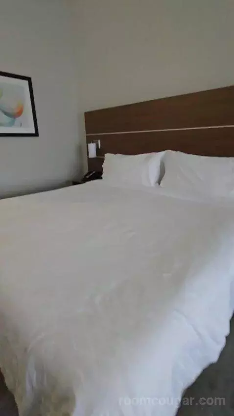 King Suite (#118) bed picture #6