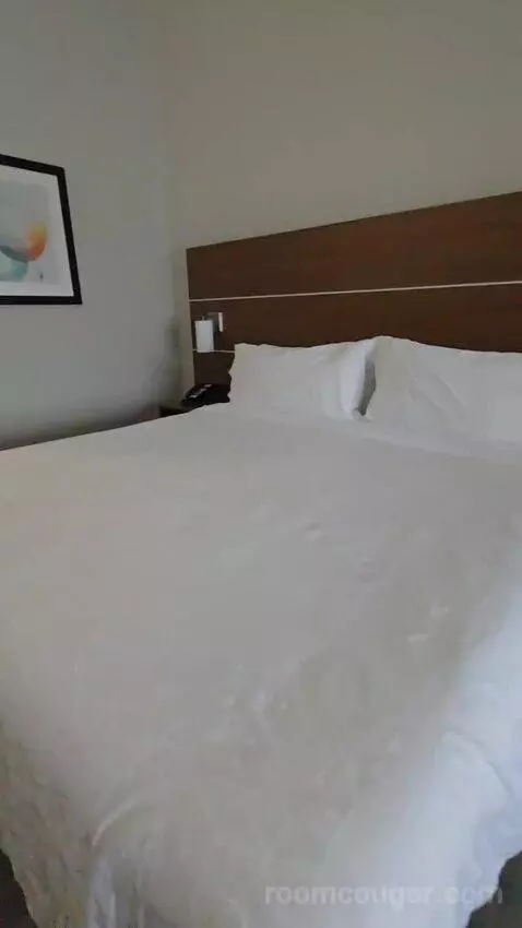 King Suite (#118) bed picture #7