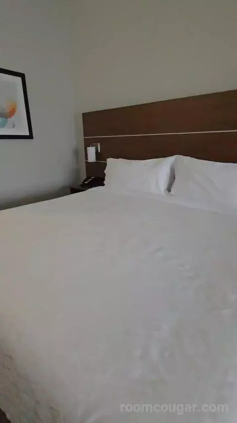 King Suite (#118) bed picture #8