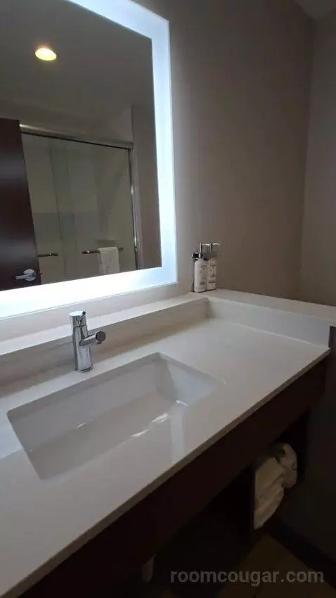 King Suite (#118) bathroom picture #3