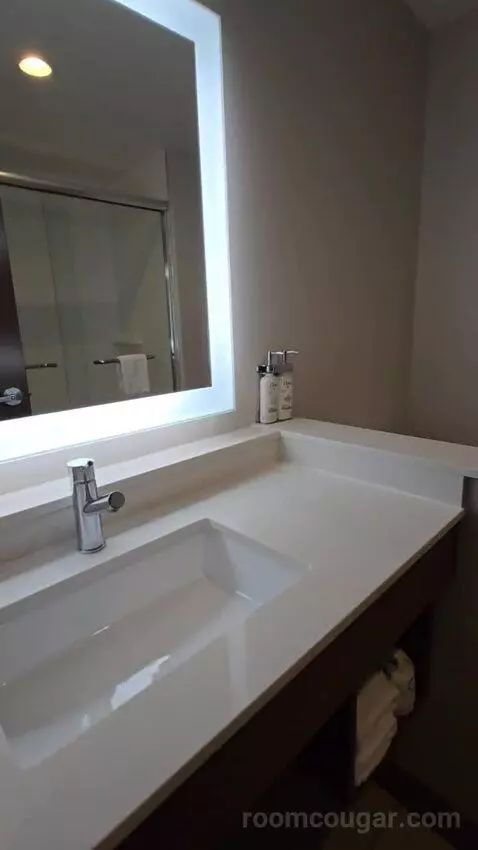 King Suite (#118) bathroom picture #4