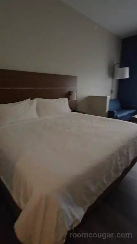 King Suite (#118) bed picture #11