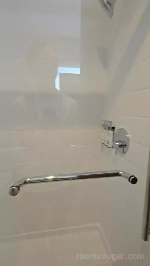 King Suite (#118) bathroom picture #5