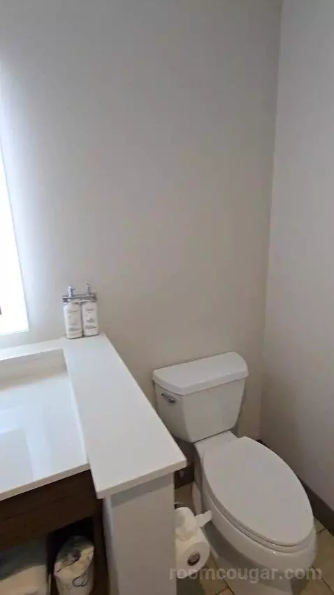 King Suite (#118) bathroom picture #9