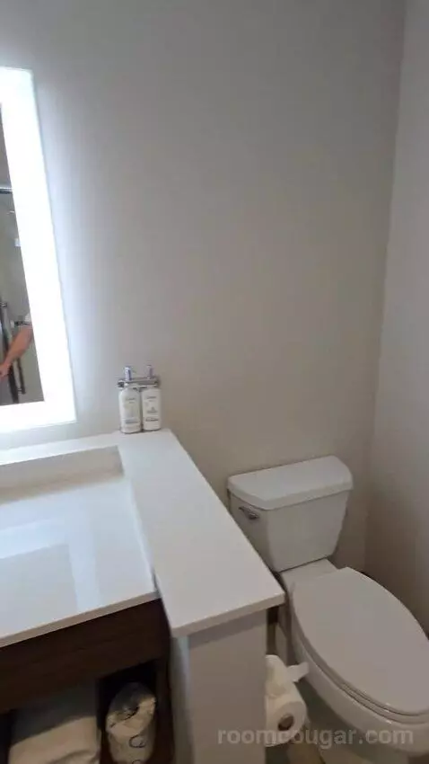 King Suite (#118) bathroom picture #10