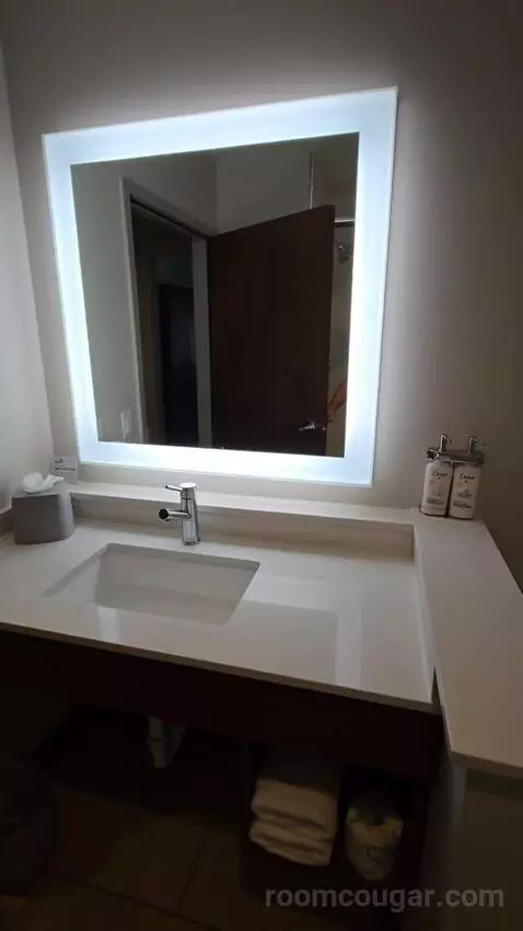 King Suite (#118) bathroom picture #11
