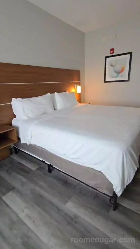 King Room - Hearing Accessible (#427) bed picture #6