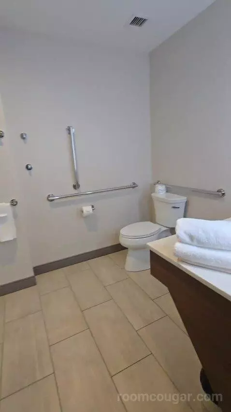 King Room - Hearing Accessible (#427) bathroom picture #1