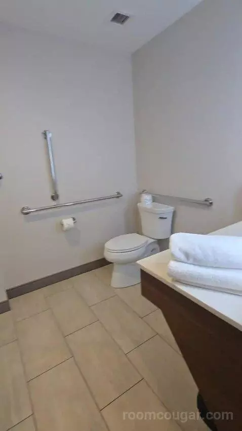 King Room - Hearing Accessible (#427) bathroom picture #2