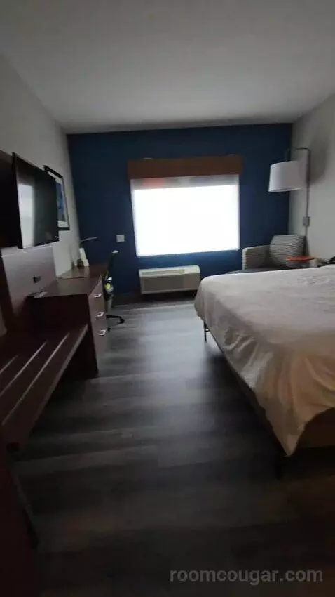 King Room - Hearing Accessible (#427) bed picture #8