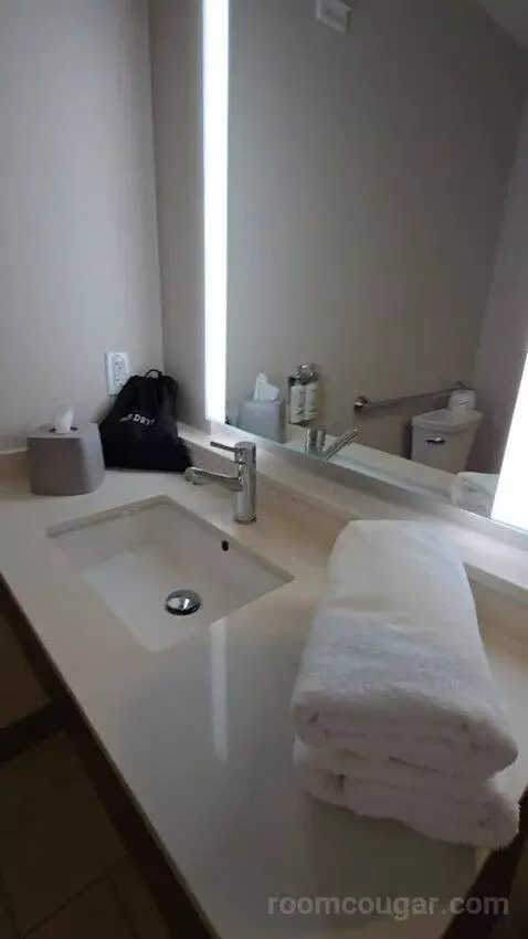 King Room - Hearing Accessible (#427) bathroom picture #3
