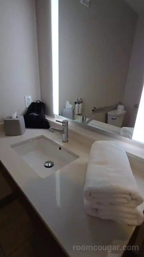 King Room - Hearing Accessible (#427) bathroom picture #4