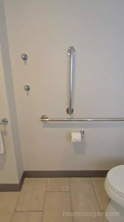 King Room - Hearing Accessible (#427) bathroom picture #5