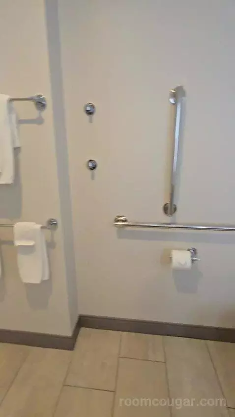 King Room - Hearing Accessible (#427) bathroom picture #6