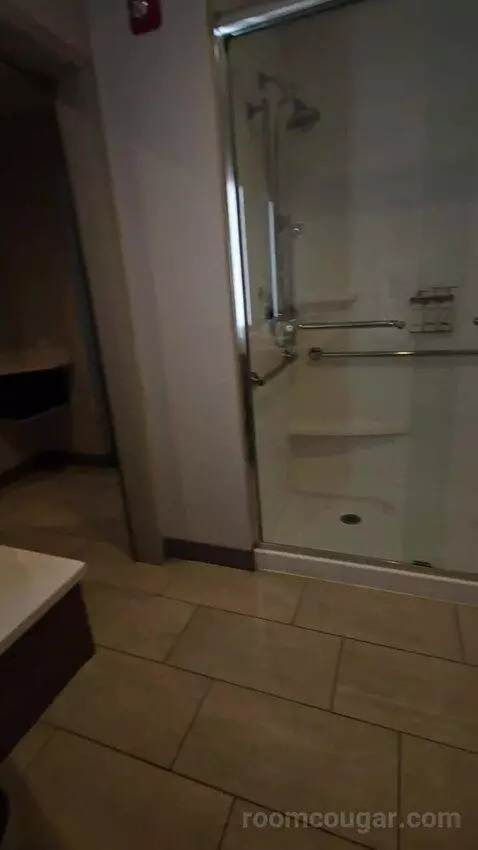 King Room - Hearing Accessible (#427) bathroom picture #9
