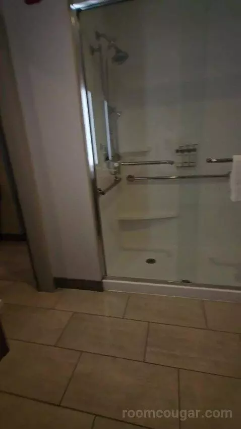King Room - Hearing Accessible (#427) bathroom picture #10