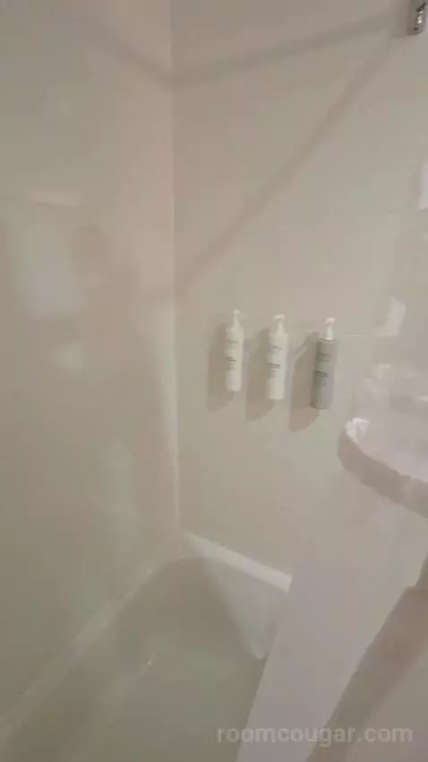 2 Queen Beds Nonsmoking (#119) bathroom picture #11