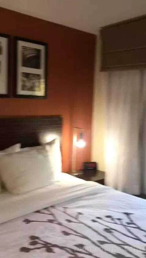King Room (#117) picture #11
