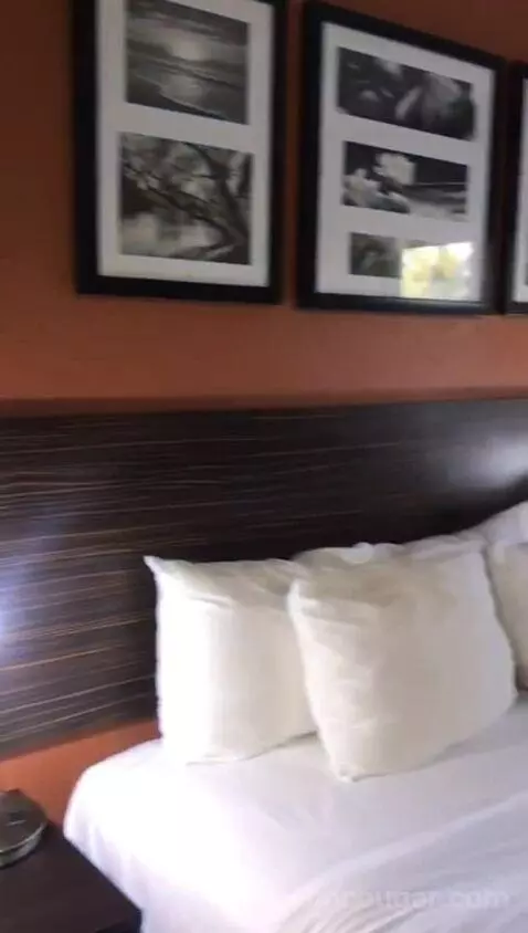 King Room (#117) bed picture #7