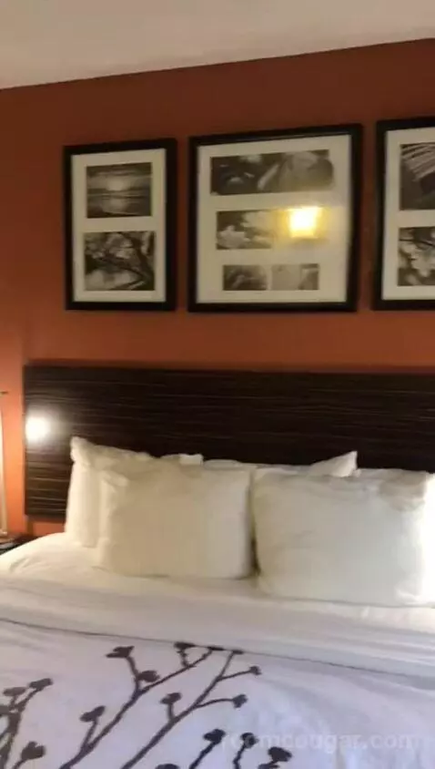 King Room (#117) picture #5