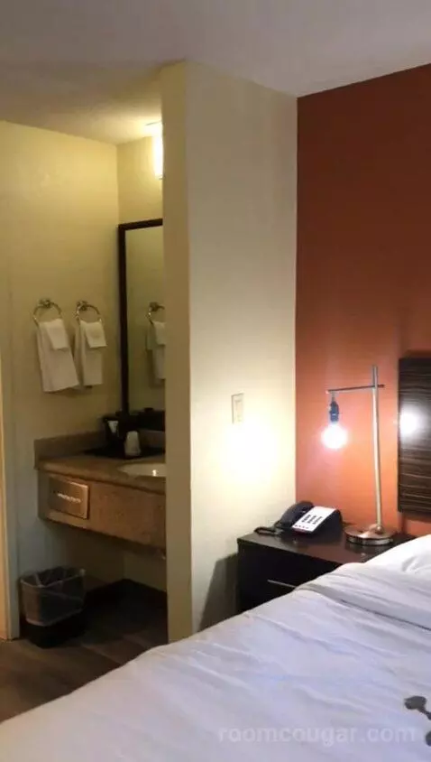 King Room (#117) picture #6