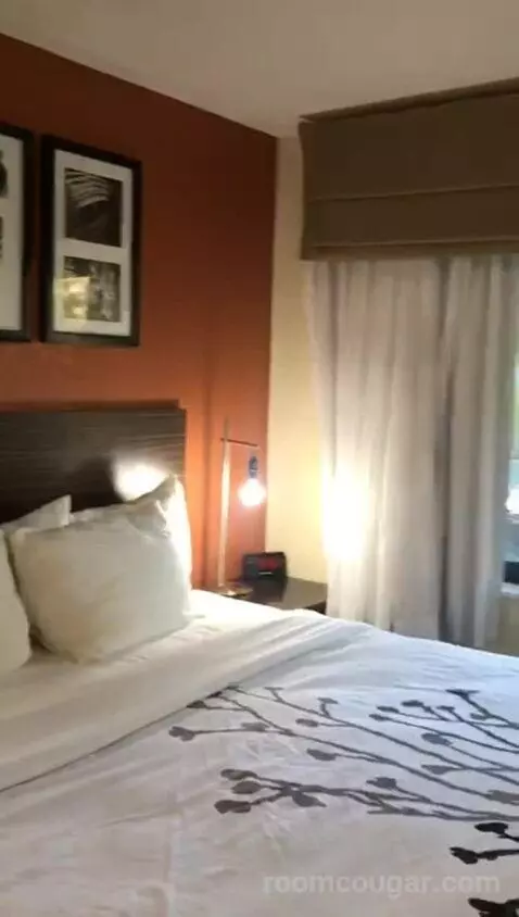 King Room (#117) picture #8