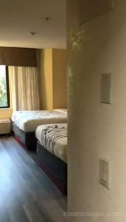 Standard Double Room with Two Double Beds (#216) bed picture #1