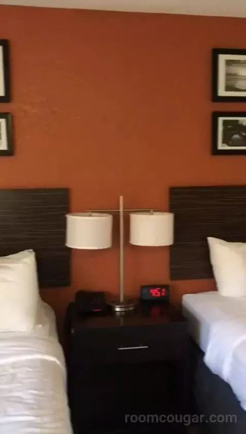 Standard Double Room with Two Double Beds (#216) bed picture #7