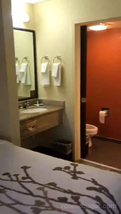 Standard Double Room with Two Double Beds (#216) bathroom picture #1