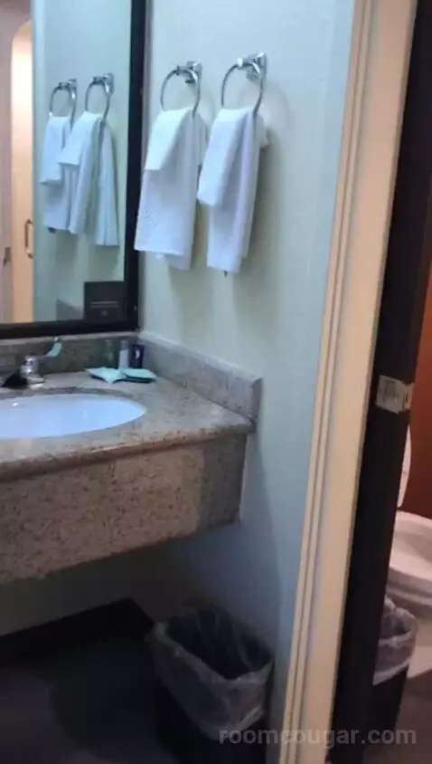 Standard Double Room with Two Double Beds (#216) bathroom picture #2