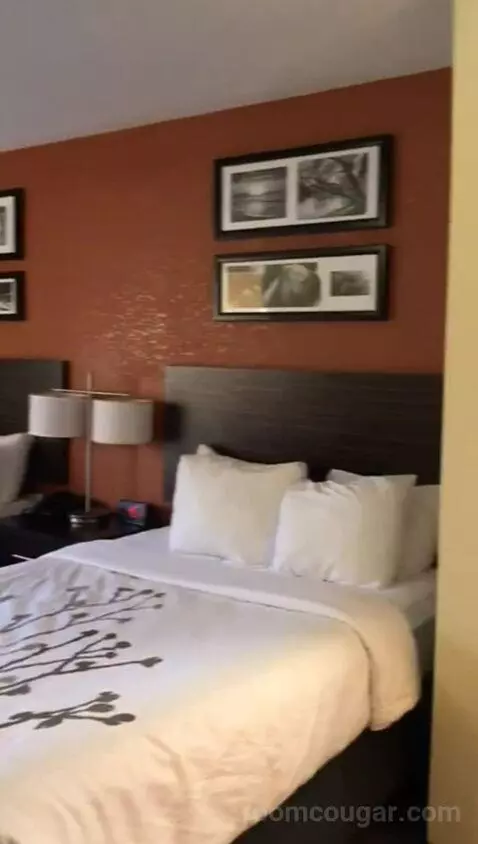 Standard Double Room with Two Double Beds (#216) bed picture #2