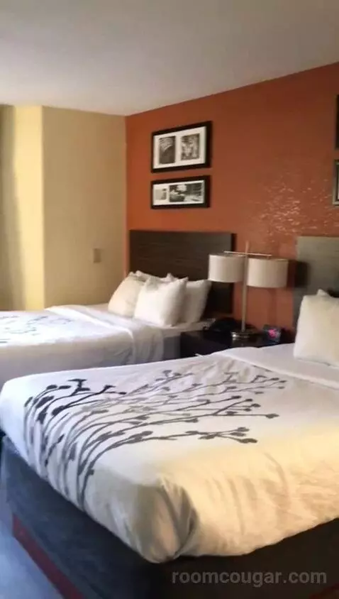 Standard Double Room with Two Double Beds (#216) bed picture #3