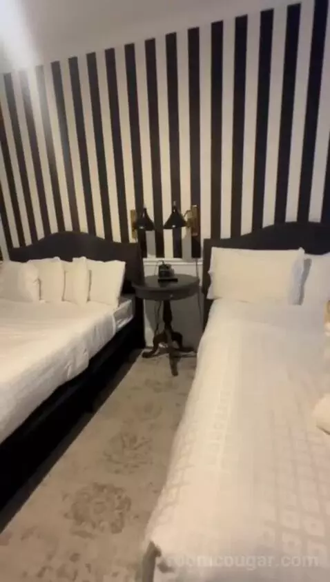 gotravel's review preview (New Hotel Collection | The Cordova Inn)