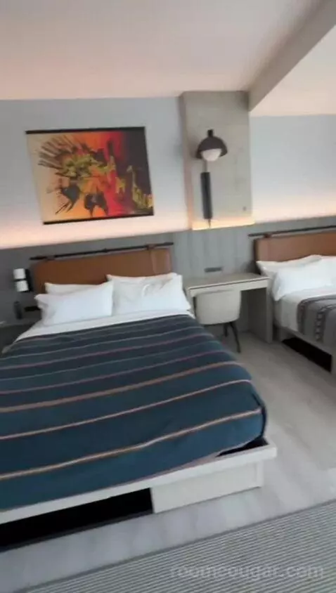 King Room, Accessible (#541) bed picture #10
