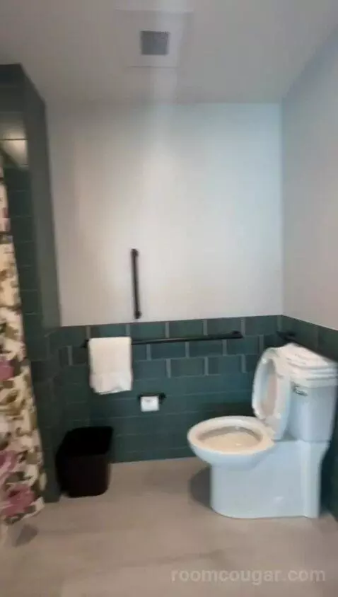 King Room, Accessible (#541) bathroom picture #1