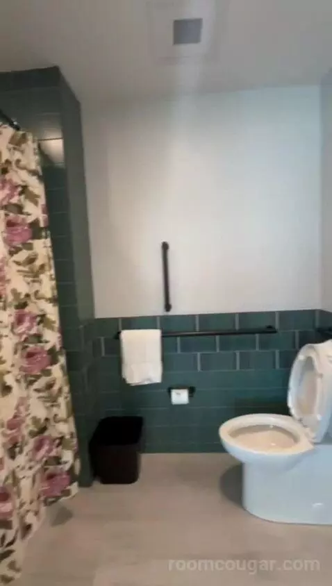 King Room, Accessible (#541) bathroom picture #2