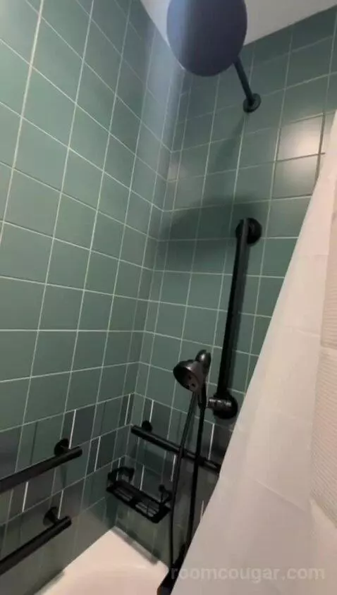 King Room, Accessible (#541) bathroom picture #4