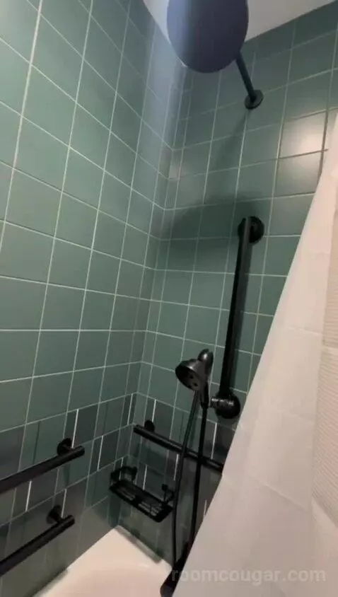 King Room, Accessible (#541) bathroom picture #5