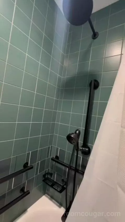 King Room, Accessible (#541) bathroom picture #6