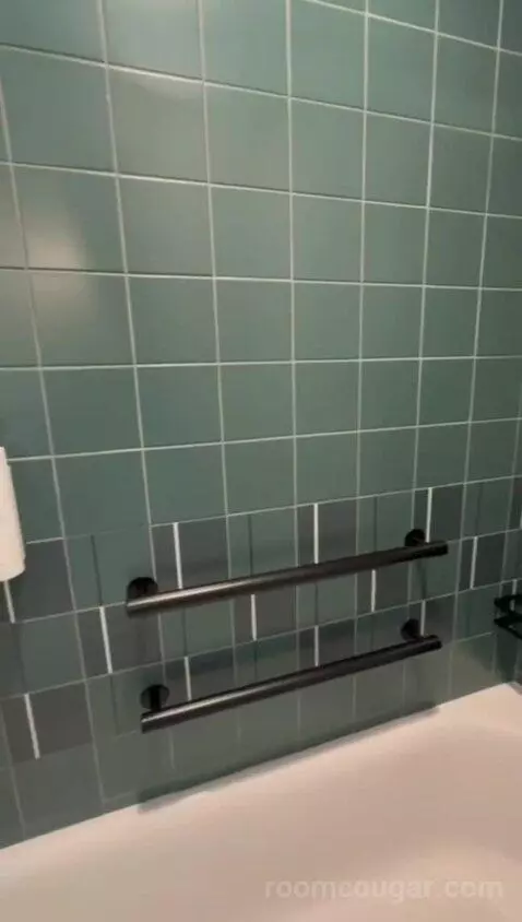 King Room, Accessible (#541) bathroom picture #7
